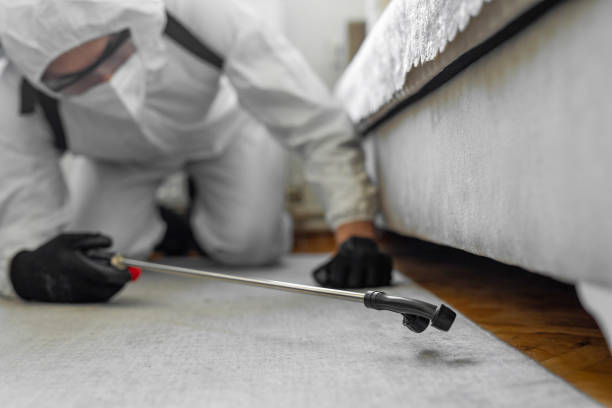 Professional Bed Bug Control technician working in Coatesville, PA